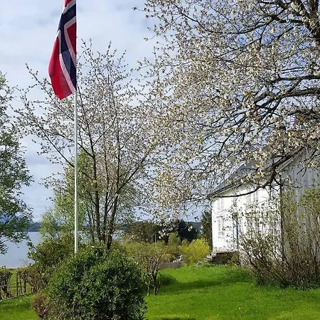 Kjorsvik Ovre Apartment Tornes Exterior photo