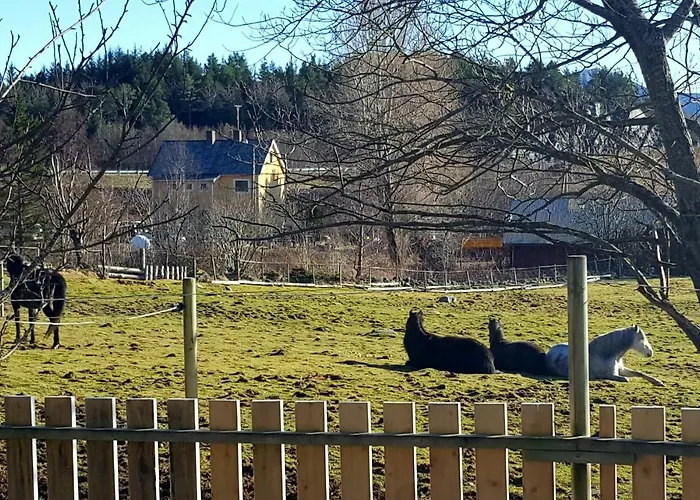 Kjorsvik Ovre